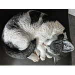 Image 3 of customer photos