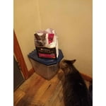 Image 5 of customer photos