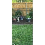 Image 2 of customer photos
