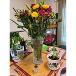 Image 3 of customer photos
