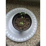 Image 6 of customer photos