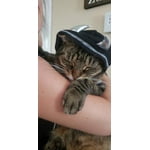 Image 3 of customer photos