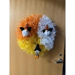 Image 1 of customer photos