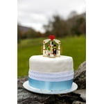 Image 1 of customer photos