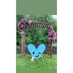 Image 1 of customer photos