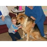 Image 1 of customer photos