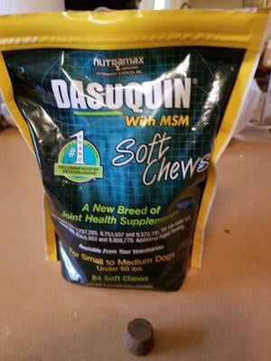 dasuquin with msm soft chews for dogs