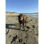 Image 6 of customer photos