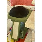 Image 5 of customer photos