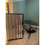 Image 5 of customer photos