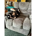 Image 5 of customer photos