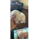 Image 4 of customer photos