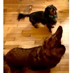 Image 6 of customer photos