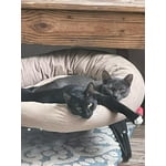 Image 4 of customer photos