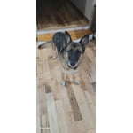 Image 6 of customer photos