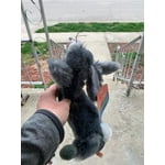 Image 2 of customer photos