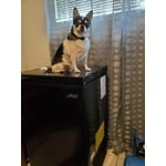 Image 3 of customer photos