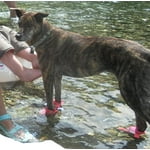 Image 2 of customer photos