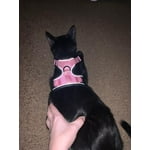 Image 4 of customer photos