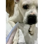 Image 2 of customer photos