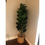 Image 7 of customer photos