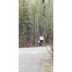 Image 2 of customer photos