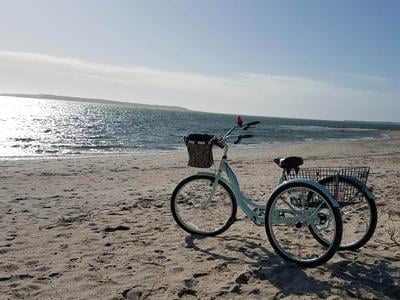 Schwinn Meridian Adult Tricycle, 26-inch Wheels, Rear Storage