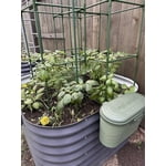 Image 3 of customer photos