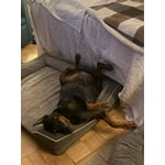 Image 1 of customer photos