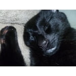 Image 9 des photos des clients