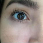 Shiseido Eyelash Curler