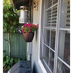 Image 3 of customer photos