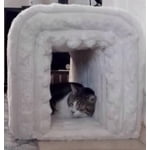 Image 5 of customer photos