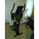 gold gym cycle trainer 300 ci