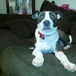 Image 6 of customer photos