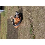 Image 2 of customer photos