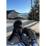 Image 5 of customer photos