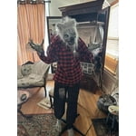 Image 6 of customer photos