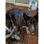 Image 3 of customer photos