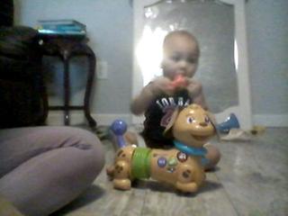 vtech walk and wiggle pup