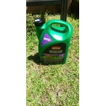 Image 3 of customer photos