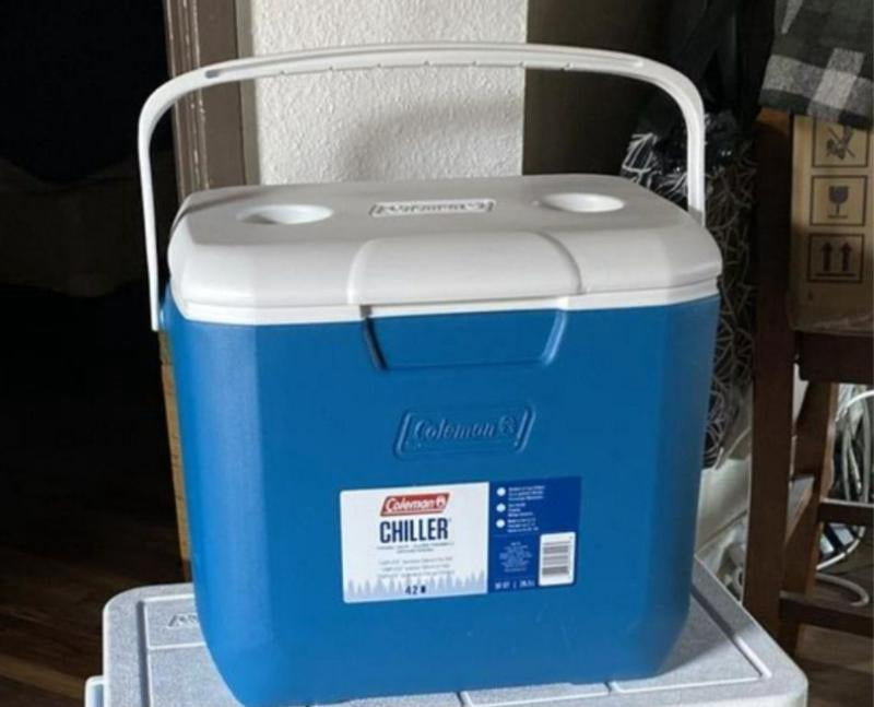Coleman 9 Quart Excursion Cooler for Outdoor Adventures - Walmart.com