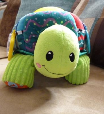 vtech touch and discover sensory turtle