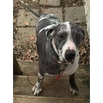 Image 7 of customer photos