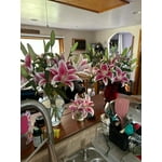 Image 4 of customer photos