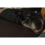 Image 3 of customer photos