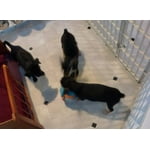 Image 2 of customer photos