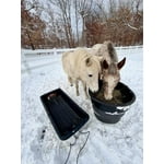 Image 2 of customer photos