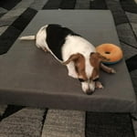 Image 4 of customer photos