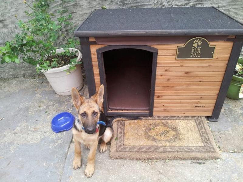 precision dog house insulation kit